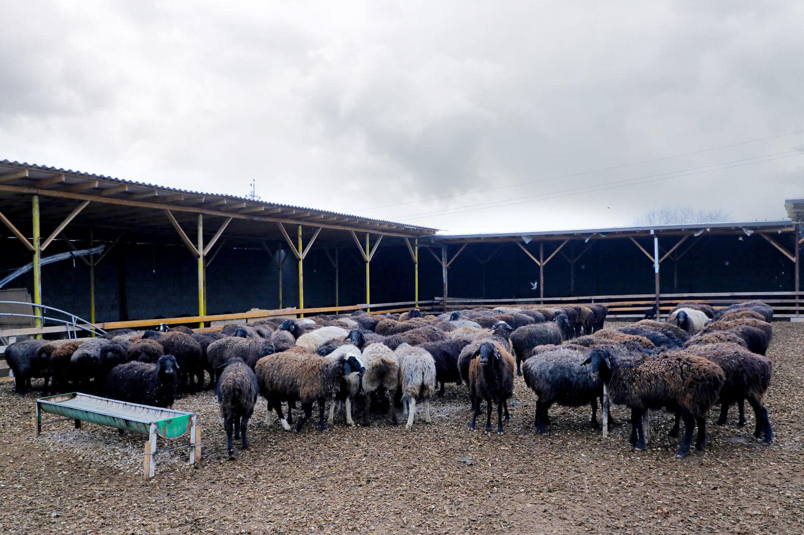 Farm