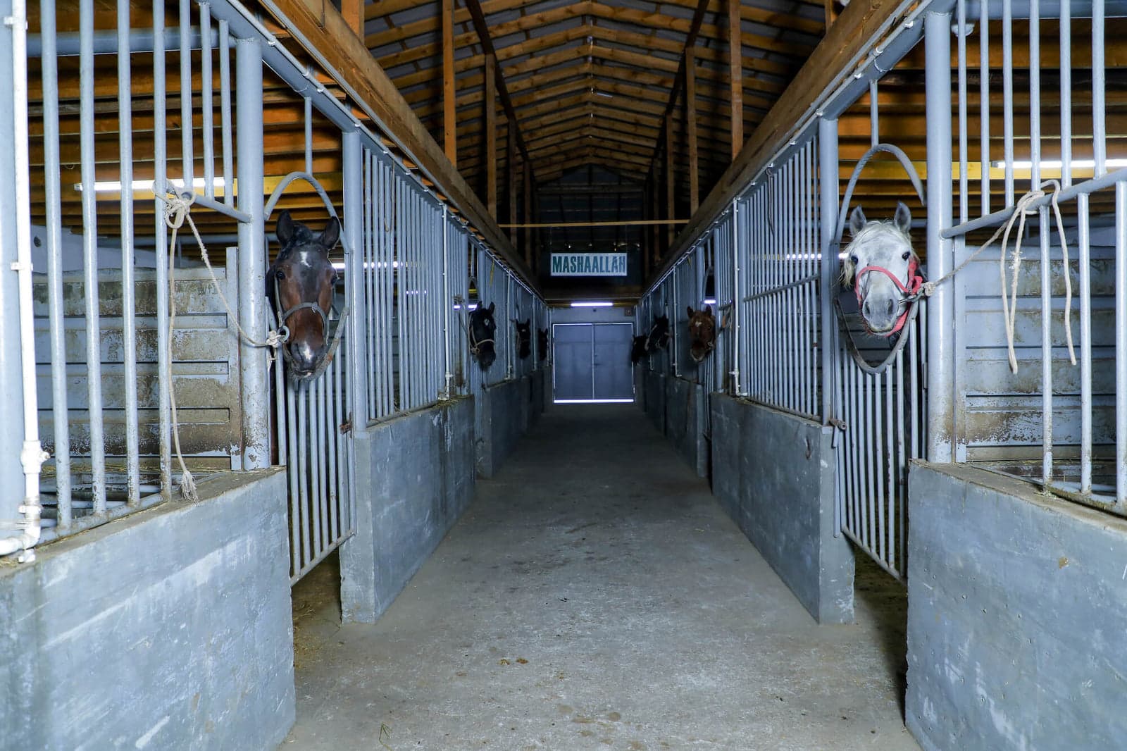 Farm