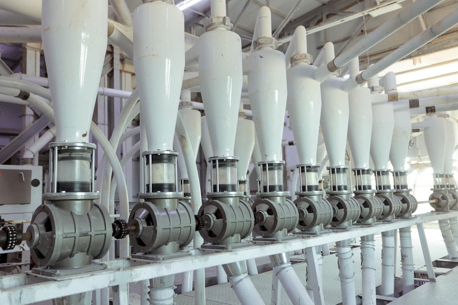Flour Production